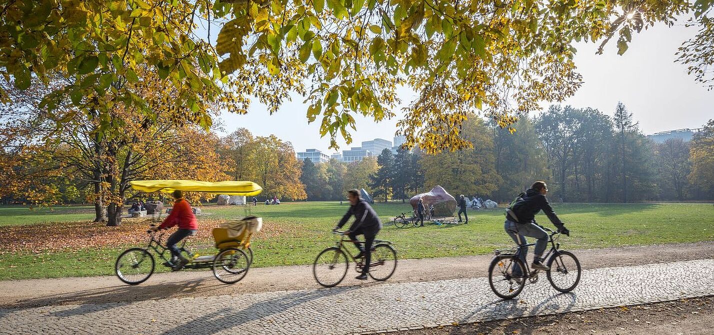 Fahrradfahren im Herbst Radfahren im Herbst hat seine eigenen Reize und Herausforderungen.